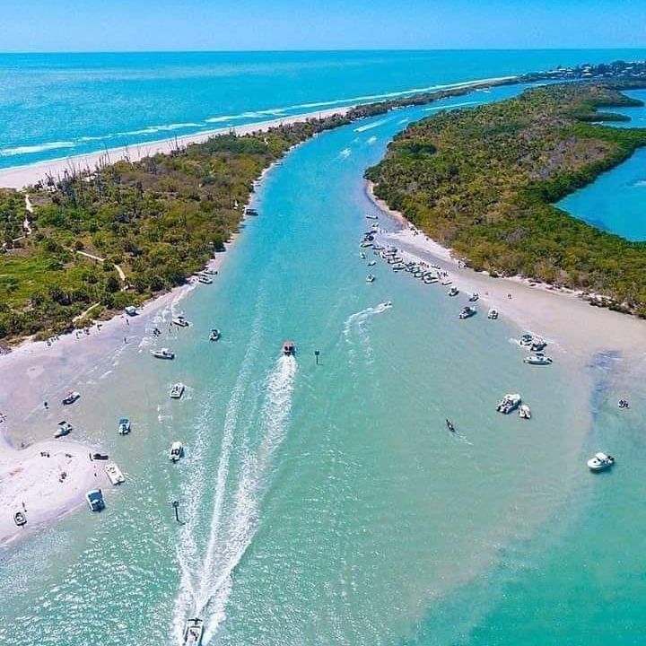 Dolphin Watching Sunset Cruise Sand Bar Tours Shelling Snorkeling